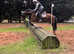 13.3hh Bay Mare For sale