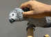 Baby HandReared Silly Tame Cuddly Friendly African Grey Parrot,26