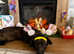 Rehome collie x