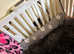 Rare breed champion lines Skye Terriers last boys reduced