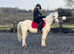 12.2 sweet kids gelding.