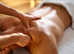 Massage for Men by male therapist
