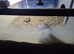Tortoise Table with Heating