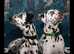 Dalmatian Puppies ready for their forever homes