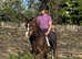 Section D, stunning looking gelding.