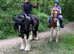 14hh 7yo ride & drive gypsy cob mare summer project
