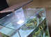 Tropical fish tank with led lights heater fish etc