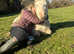 Cremello registered Shetland pony