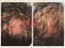 PRP hair growth and facial treatments injections