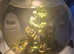 60 lt biorb fish tank with heater pump and filters