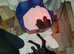 Gsp liver,roan ,black puppies