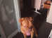 Male dougue de bordeaux