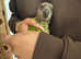Senegal parrot 4 years old