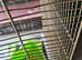 SAVIC FREDDY 2 MAX SMALL ANIMAL CAGE NEW