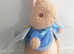 A Small Peter Rabbit Soft Toy.  This is Peter Rabbit Himself.