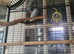2 parrolets rehoming (no cage)