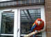 YOUNG SCARLET MACAW  dna male, cites