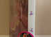 Hasbro Dream ballet Sindy doll 2001 (NRFB)