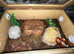 Female Corn Snake & Starter Viv Setup