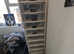Snake collection for sale