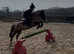Meet Fizz a bombproof my 1st 2nd pony she does everything when told gentle pony