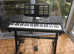 CASIO CT X5000