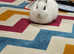 Male young blanc de hotot cross lionhead