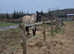 Stunning happy hacking fun ride allrounder