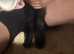 7 week old black lamb bottle fed ideal child's pet