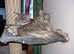 3 FULL MAINECOON KITTENS