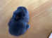 Lion head babies for sale mixed litter
