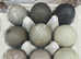 CAYUGA FERTILISED DUCK EGGS