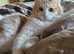 Delicious Soup Needs A Home