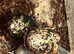 Land Hermit crabs and set up