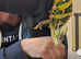 Male chameleon with setup