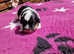 Adorable Kc Havanese Puppies