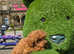 Asian Teacup Poodle (Chineese) VERY small