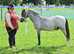 Absolute legend of a pony