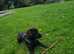 Working lines patterdale