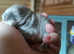 Stunning Netherland dwarf babies