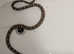 Rat snake for sale
