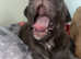 1 BULLY GIRL LEFT ASAP
