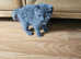 British shorthair kittens for sale