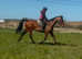 16.3/17hh bfg happy hacker/ alrounder
