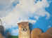 Shiba Inu puppies