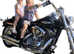 Harley