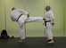 Traditional Wado Ryu Karate