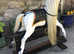 Antique 1910 JR Smith rocking horse
