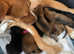 2 Rottweiler cross Staff puppies