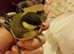 Shropshire Parrot Rescue
